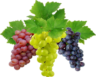 Grapes